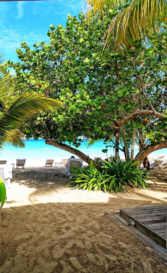 Idle Awhile Beach Hotel Negril Bagian luar foto