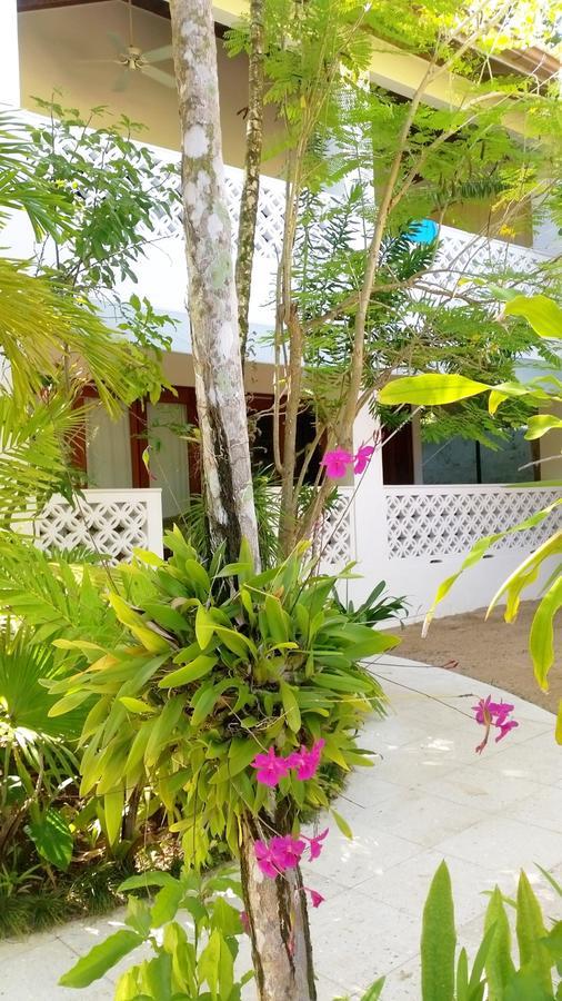 Idle Awhile Beach Hotel Negril Bagian luar foto